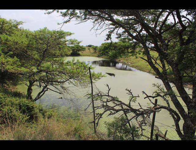 106HA FARM FOR SALE IN EAST LONDON CENTRAL